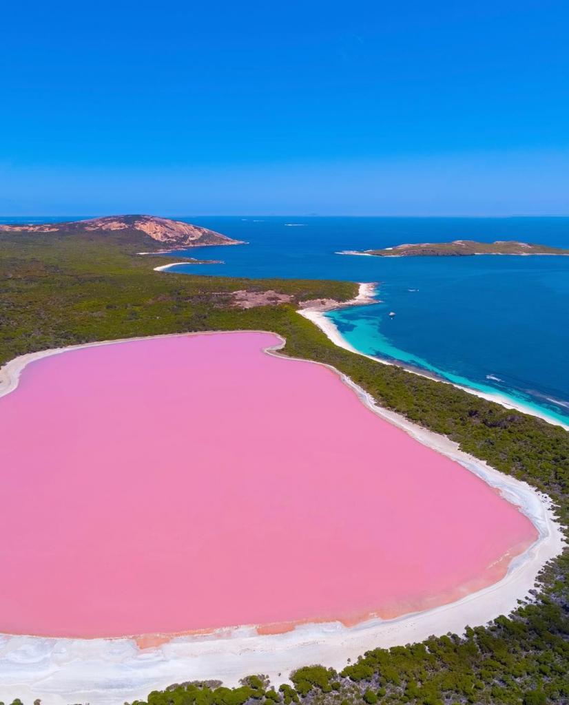 Розовое море