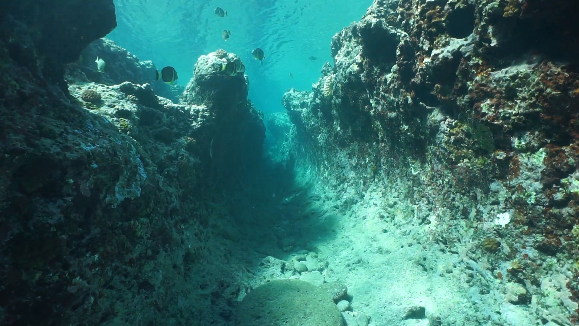 как выглядит дно моря без воды