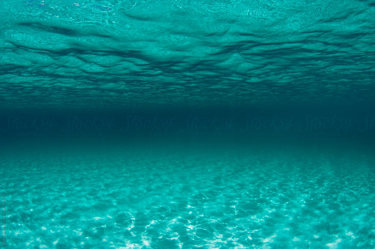 Дно под водой