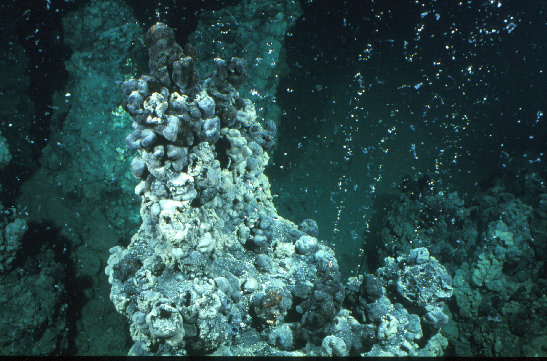 Добыча фосфоритов с морского дна
