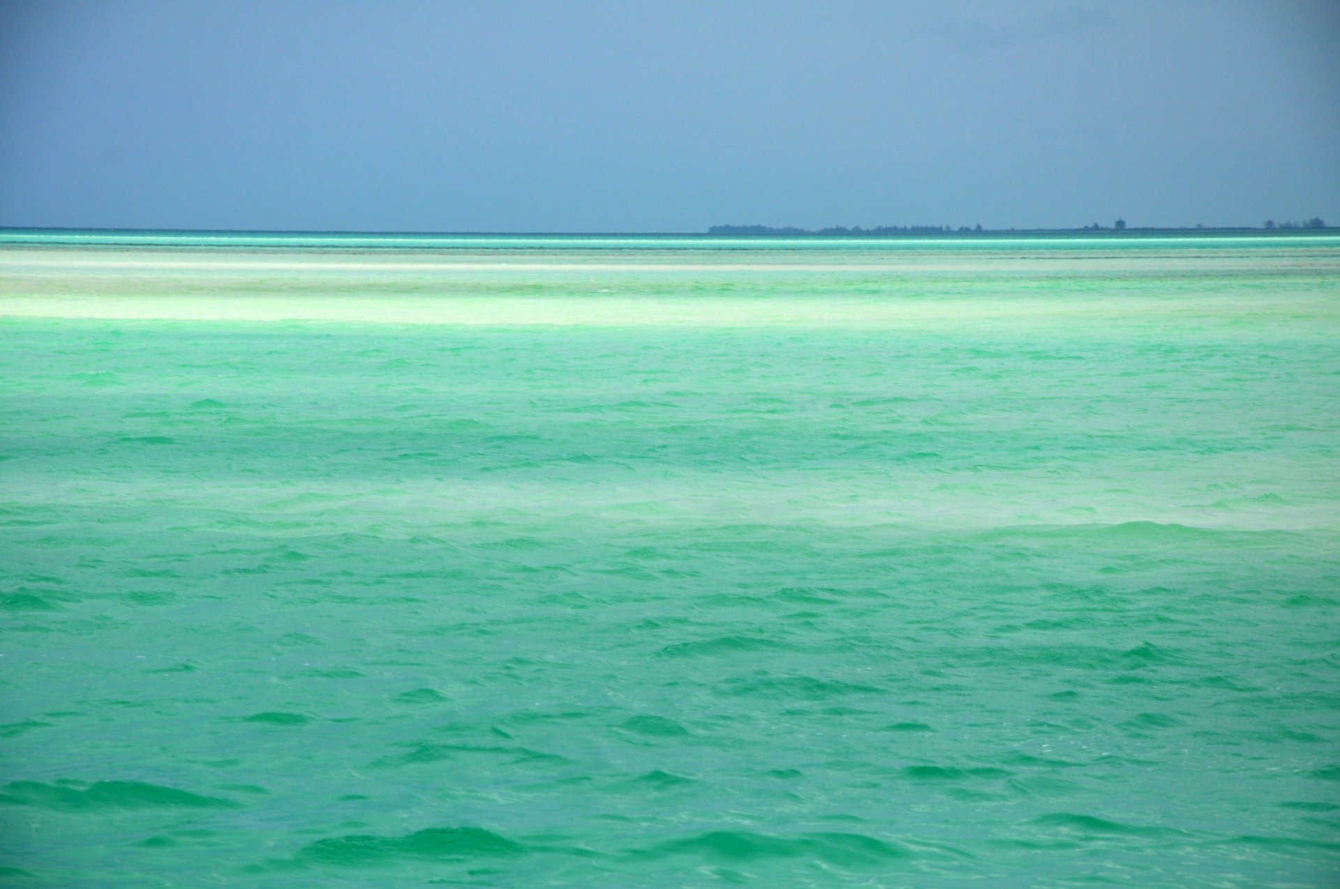 зеленое море картинки