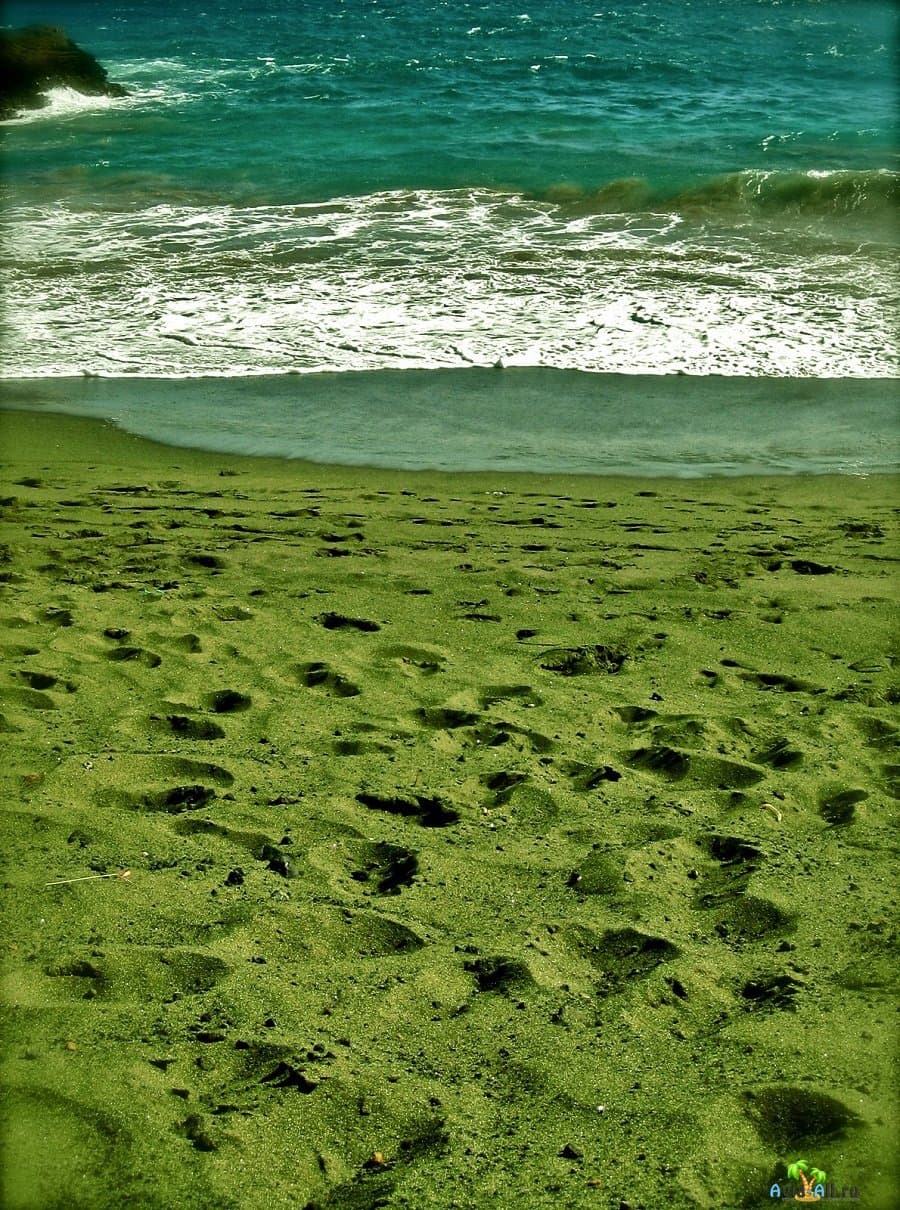 зеленое море картинки