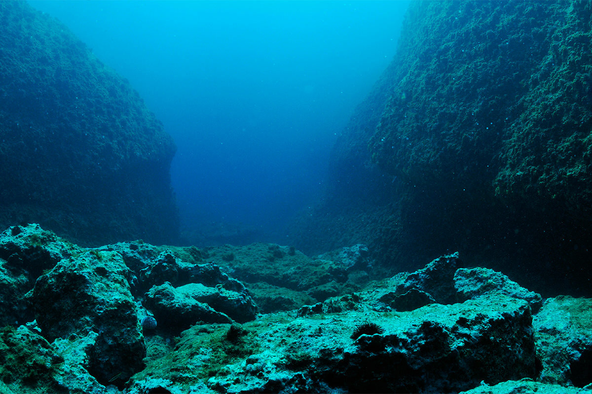 морские глубины фото