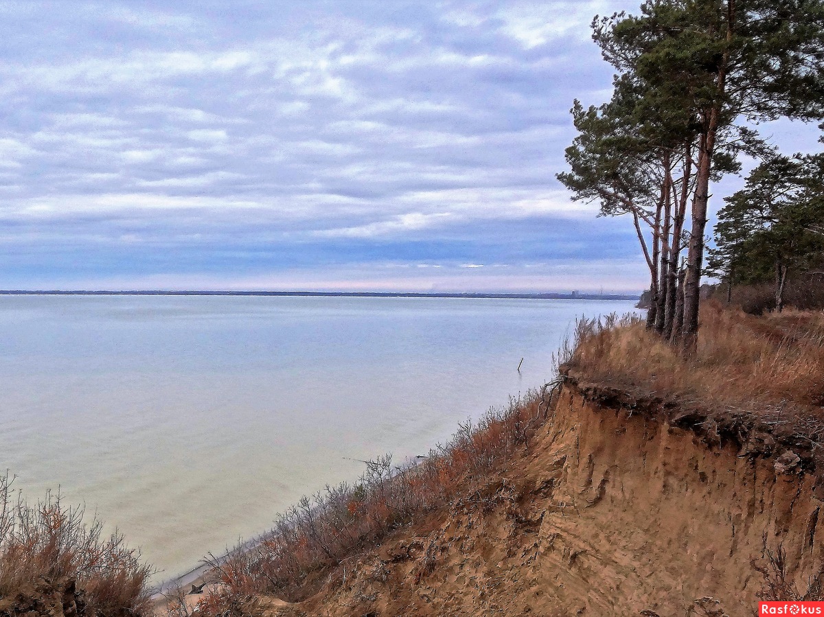 море в бердске