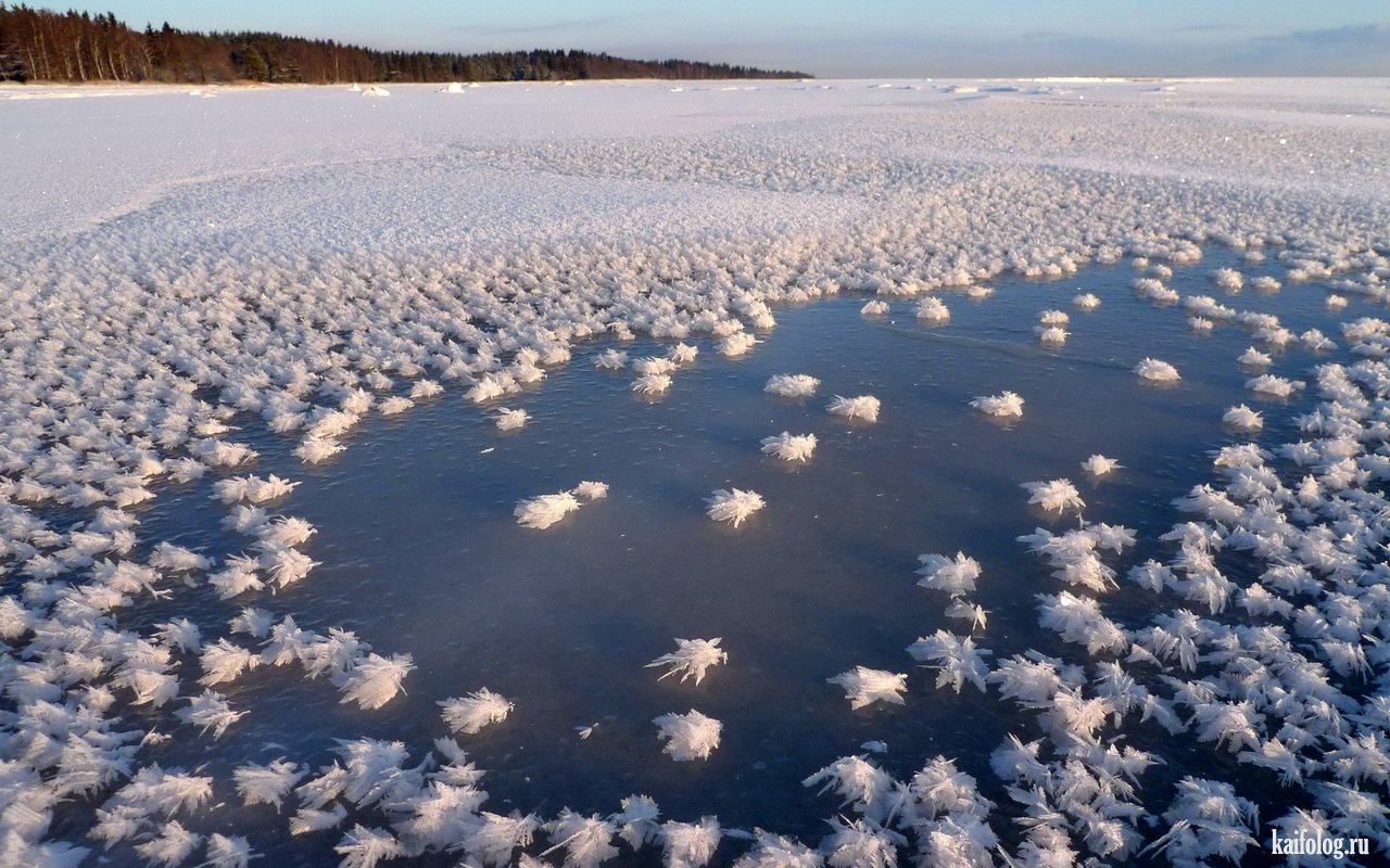 Полярное море покрывается льдом