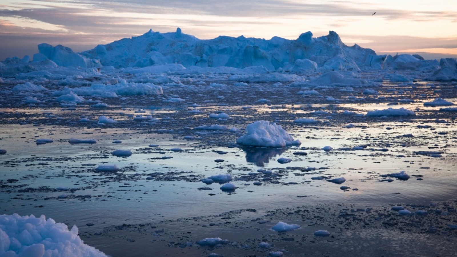 Арктика Северо Ледовитого океана