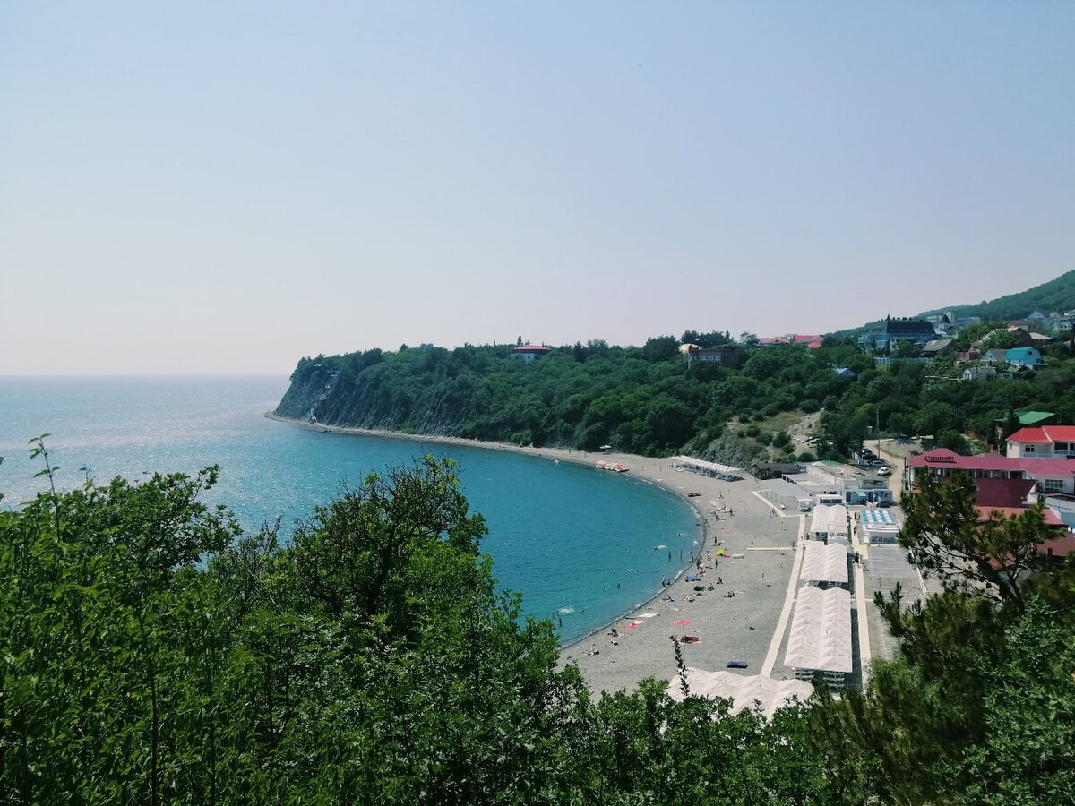 Бетта на черном море Краснодарский край