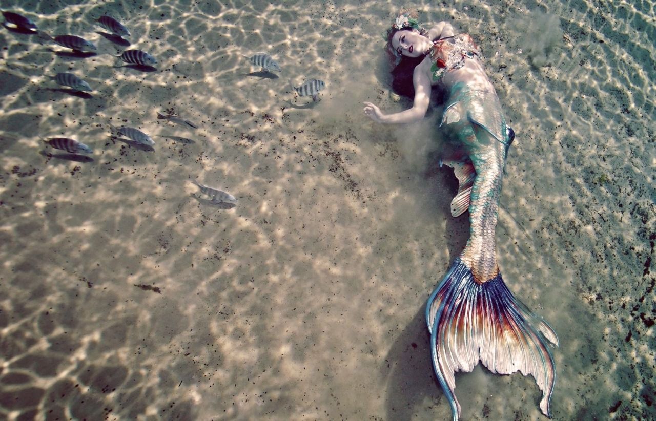 фото настоящей русалки в море