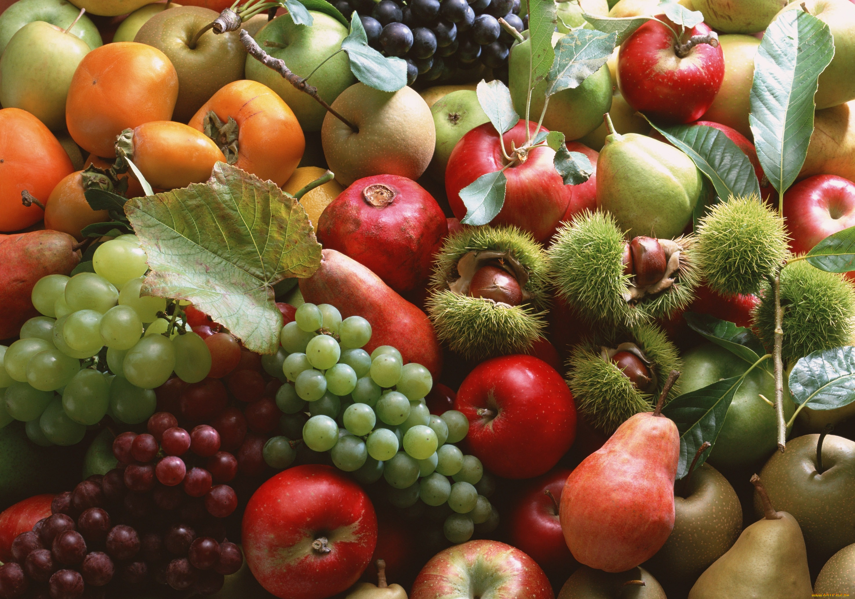 Плоды и овощи