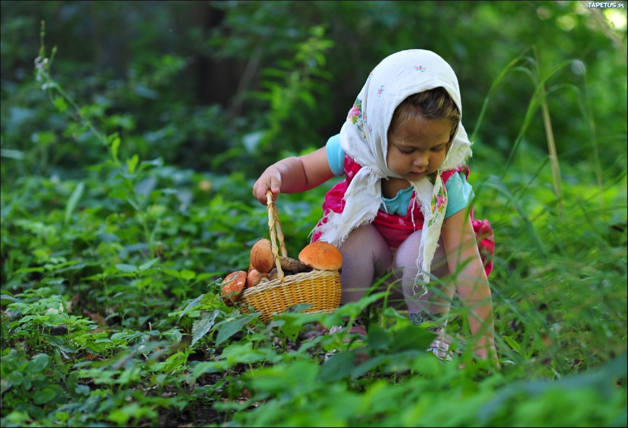 На фото голая русская девочка собирает клубнику