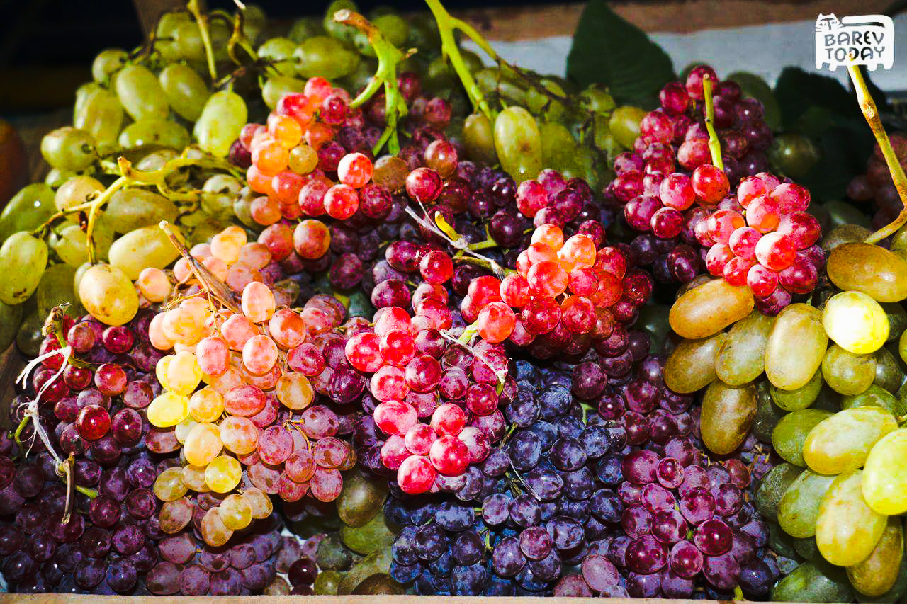 Виноград армянский винный