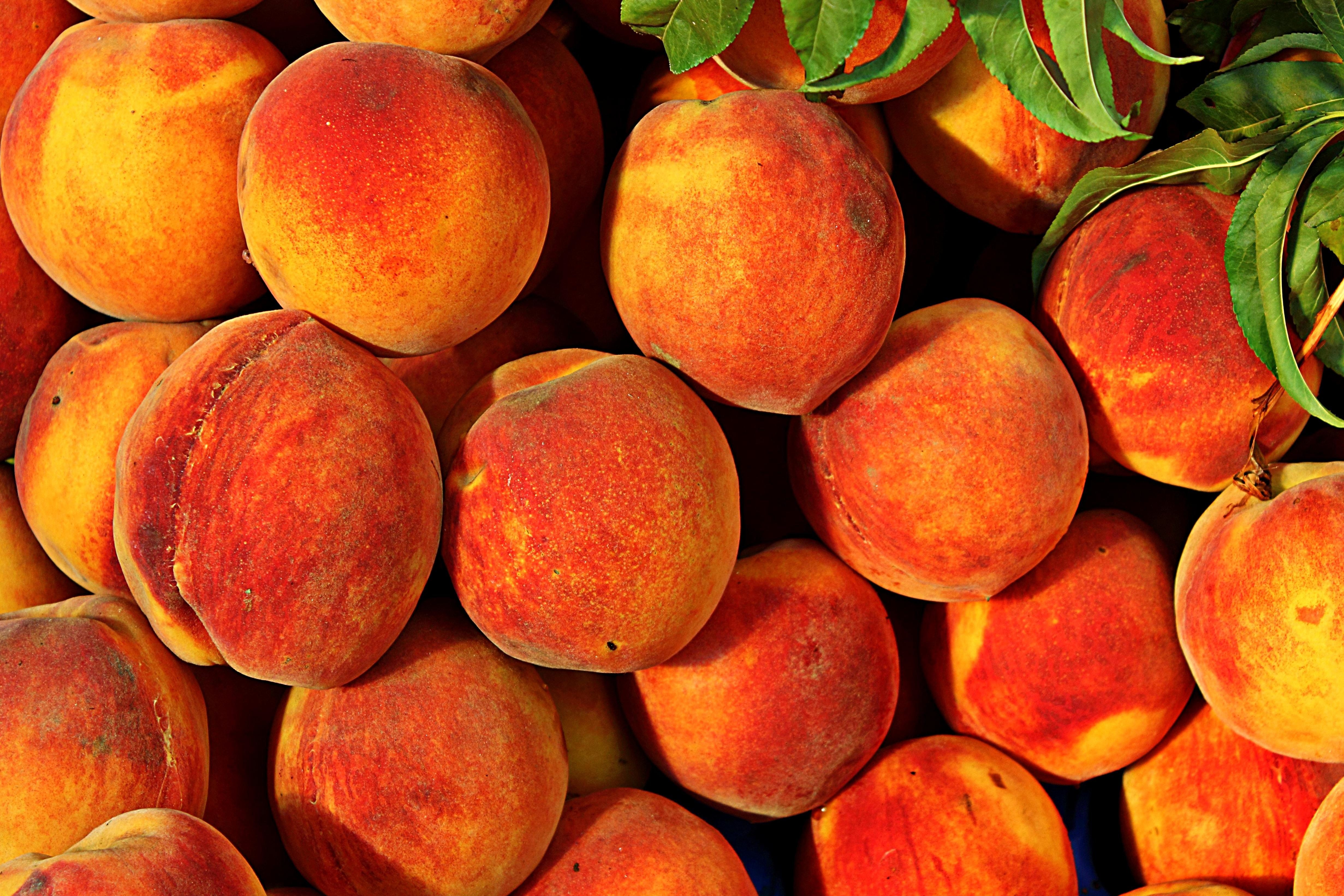 Персик фрукт