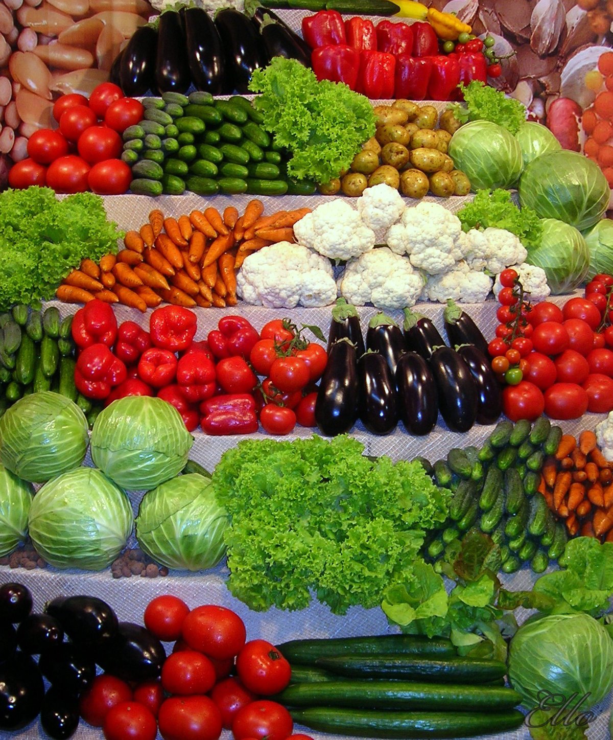 Каталог Овощей С Фото