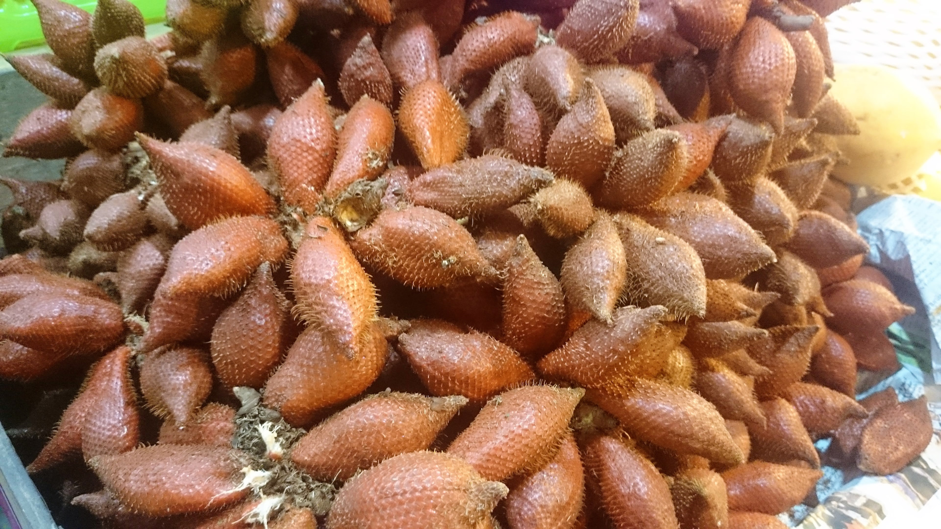 дагестанские шишки фрукт фото