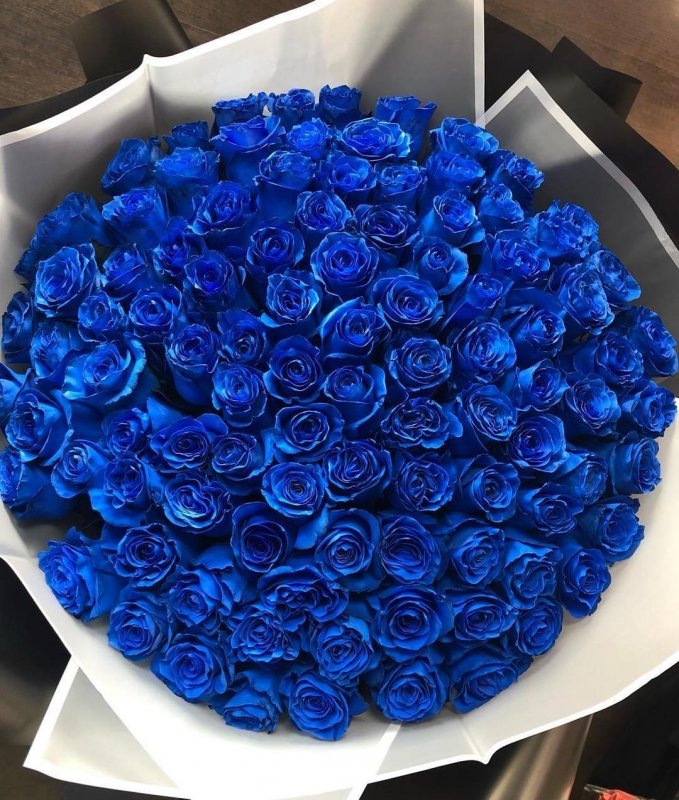 Где Можно Купить Синюю Розу