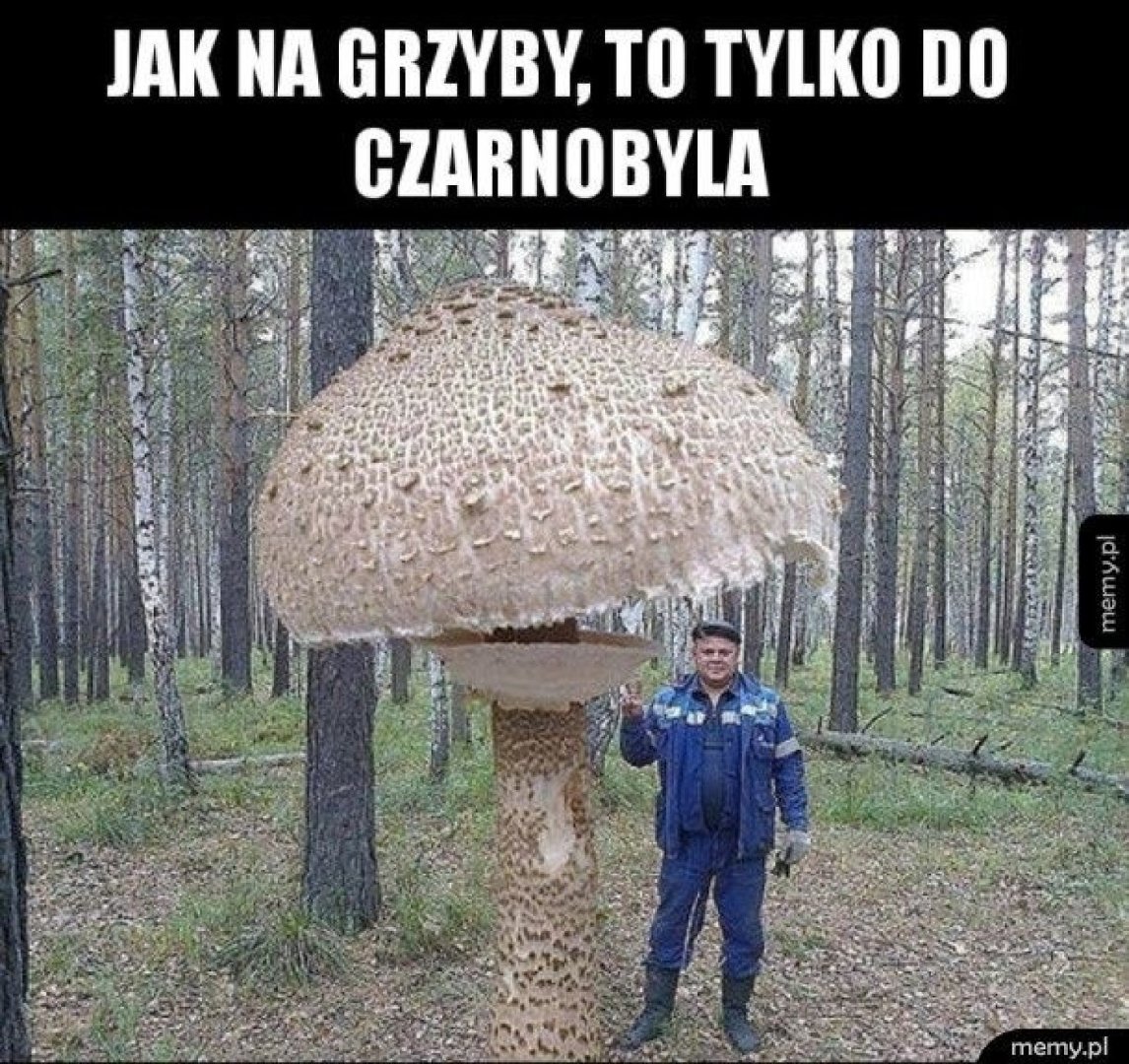 Грибы смешные картинки