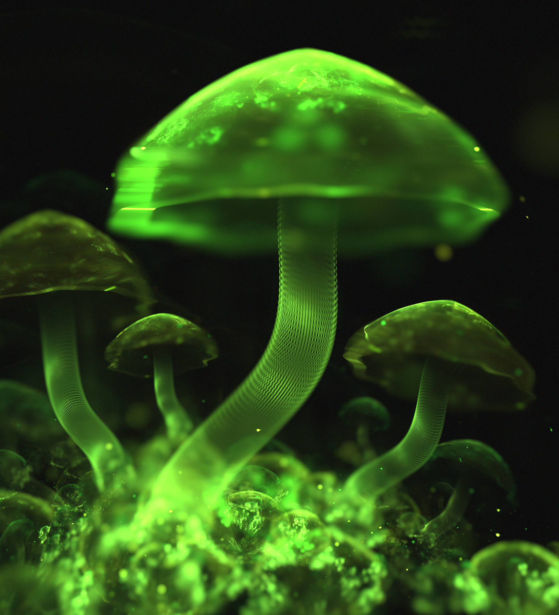 Зеленый гриб