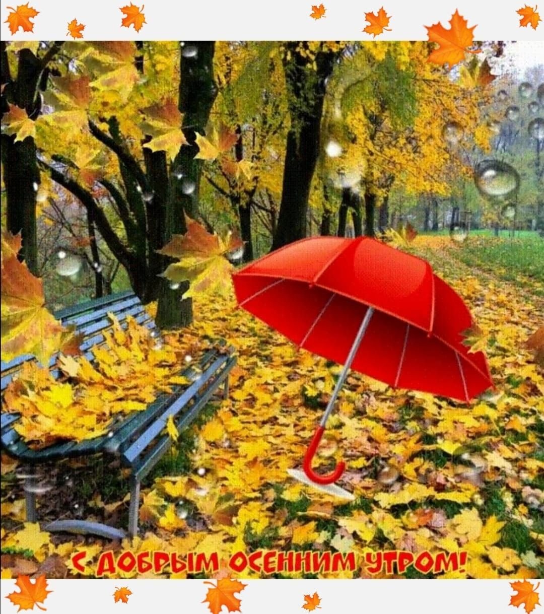 С осенним добрым днем