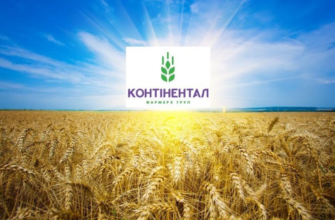 Золотая рожь