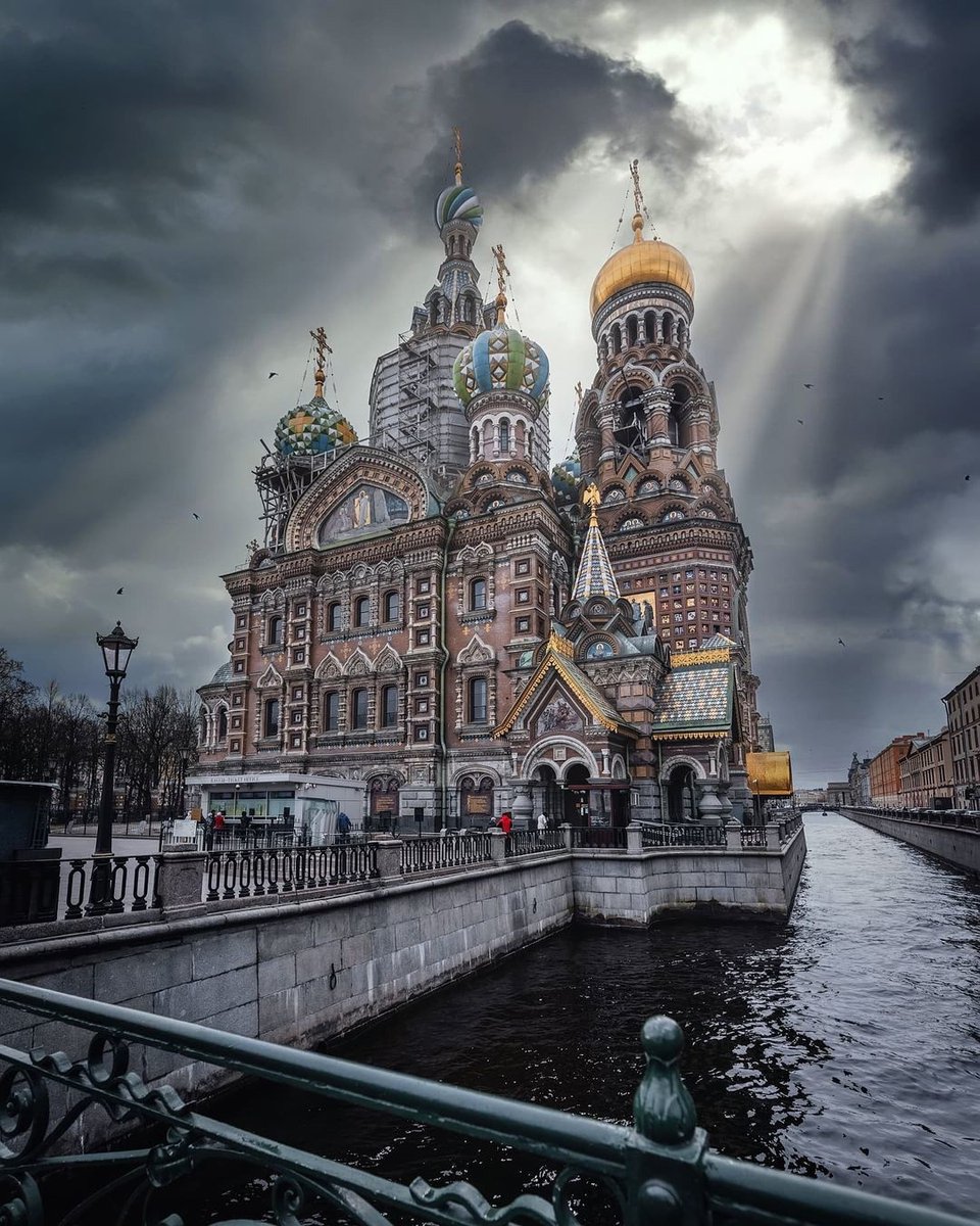Петербург спас на крови фото