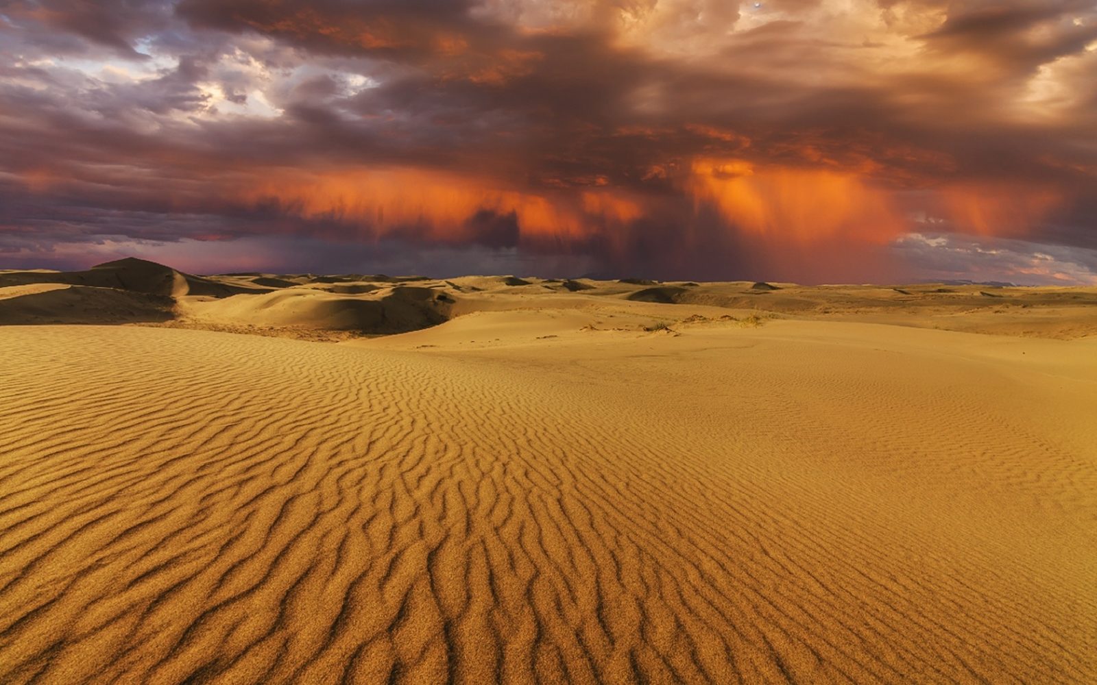 Природа Монголии пустыня Гоби
