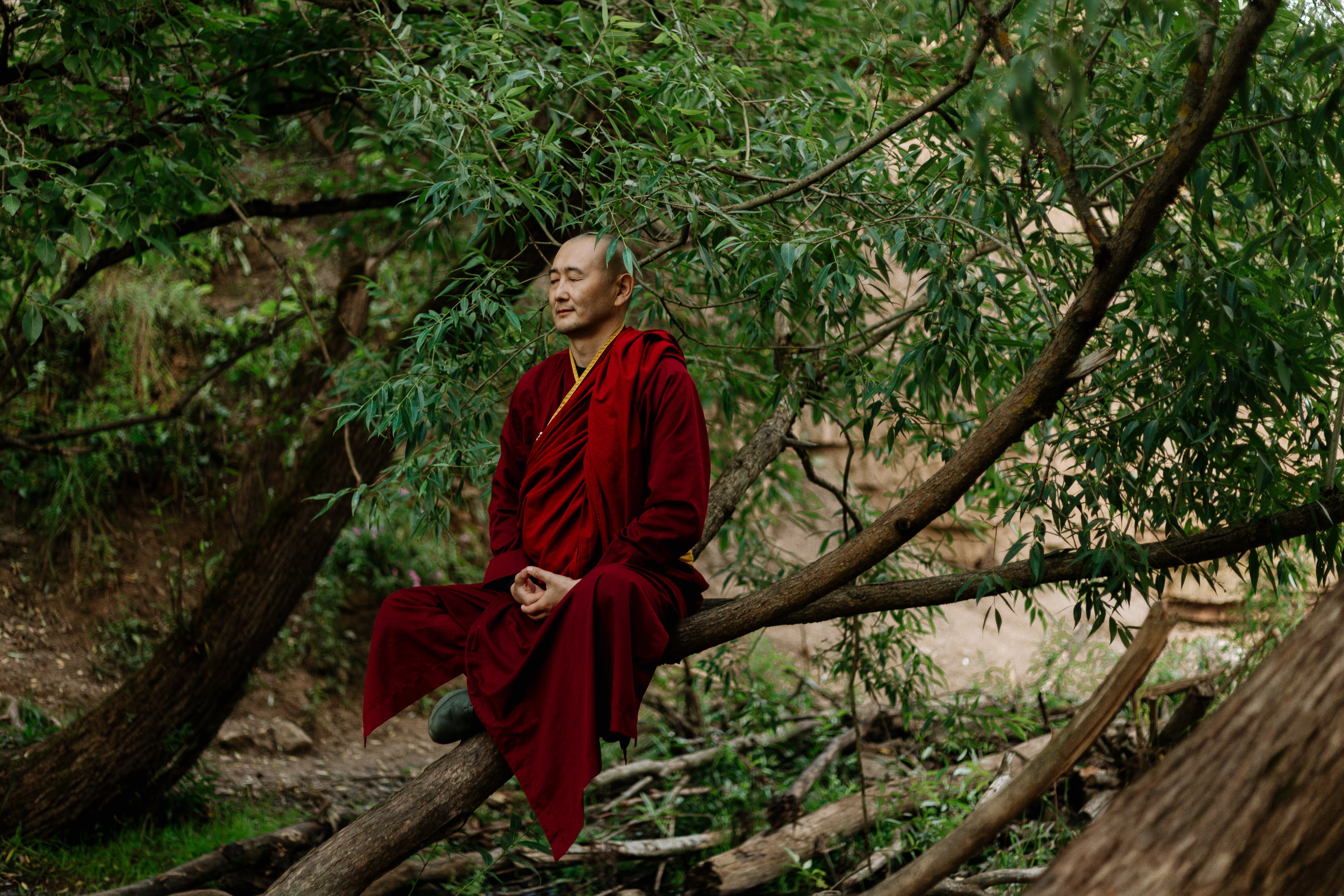 Тибетские горловые монахи. Тибетский монах медитирует. Будда Шаолинь. Гиггук монах. Монах Шаолинь медитация.