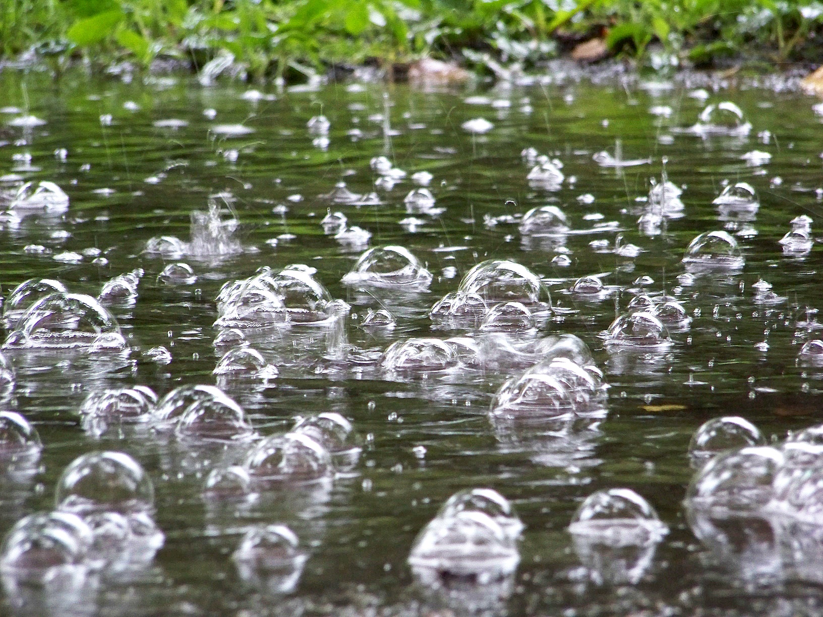 Дождик крупный. Дождь. Ливень. Дождь картинки. Дождевые пузыри.