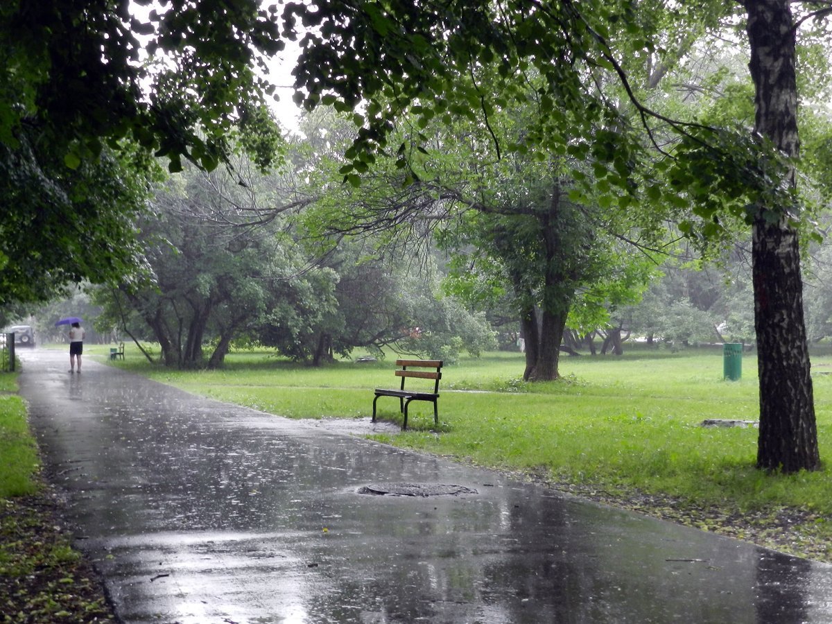 Парк и дождь