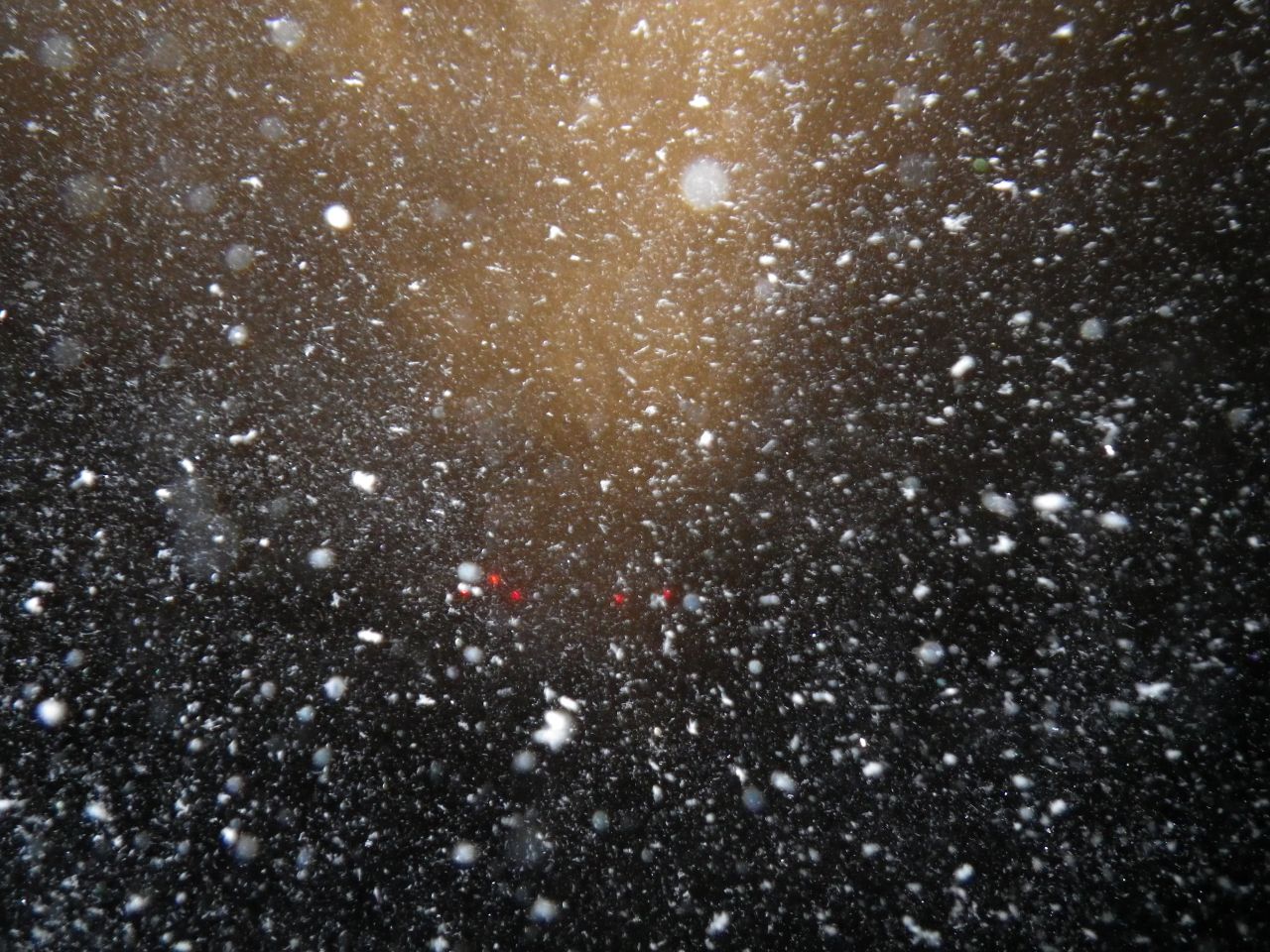 Снег падает крупными хлопьями. Хлопья снега. Снег текстура. Падающий снег. Текстура падающего снега.
