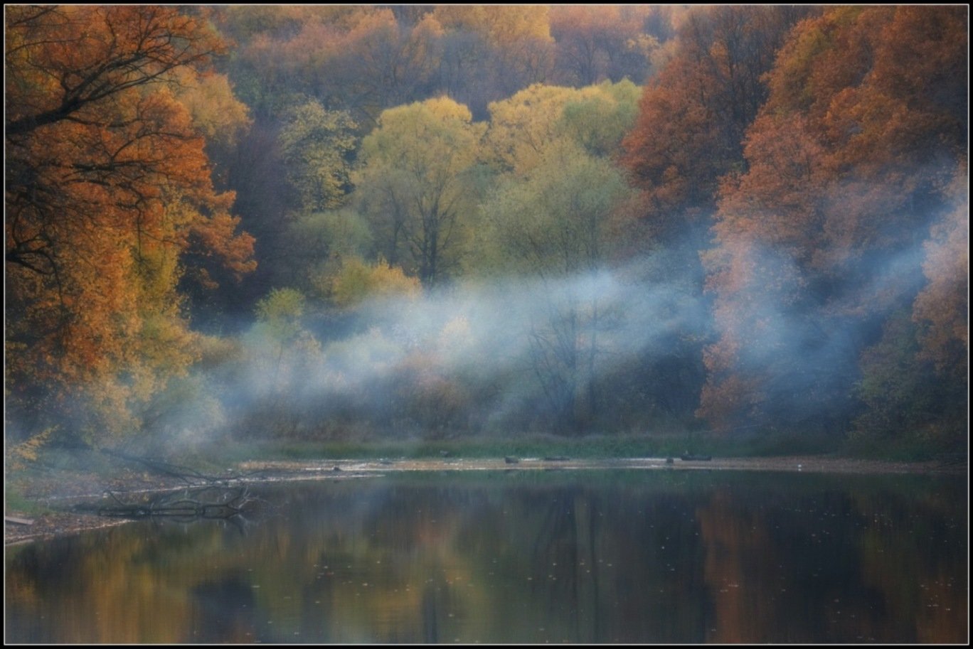 Над рекой будто сизый дым песня. Пейзаж с дымкой. Дымка над водой. Осенняя дымка. Туман дымка.