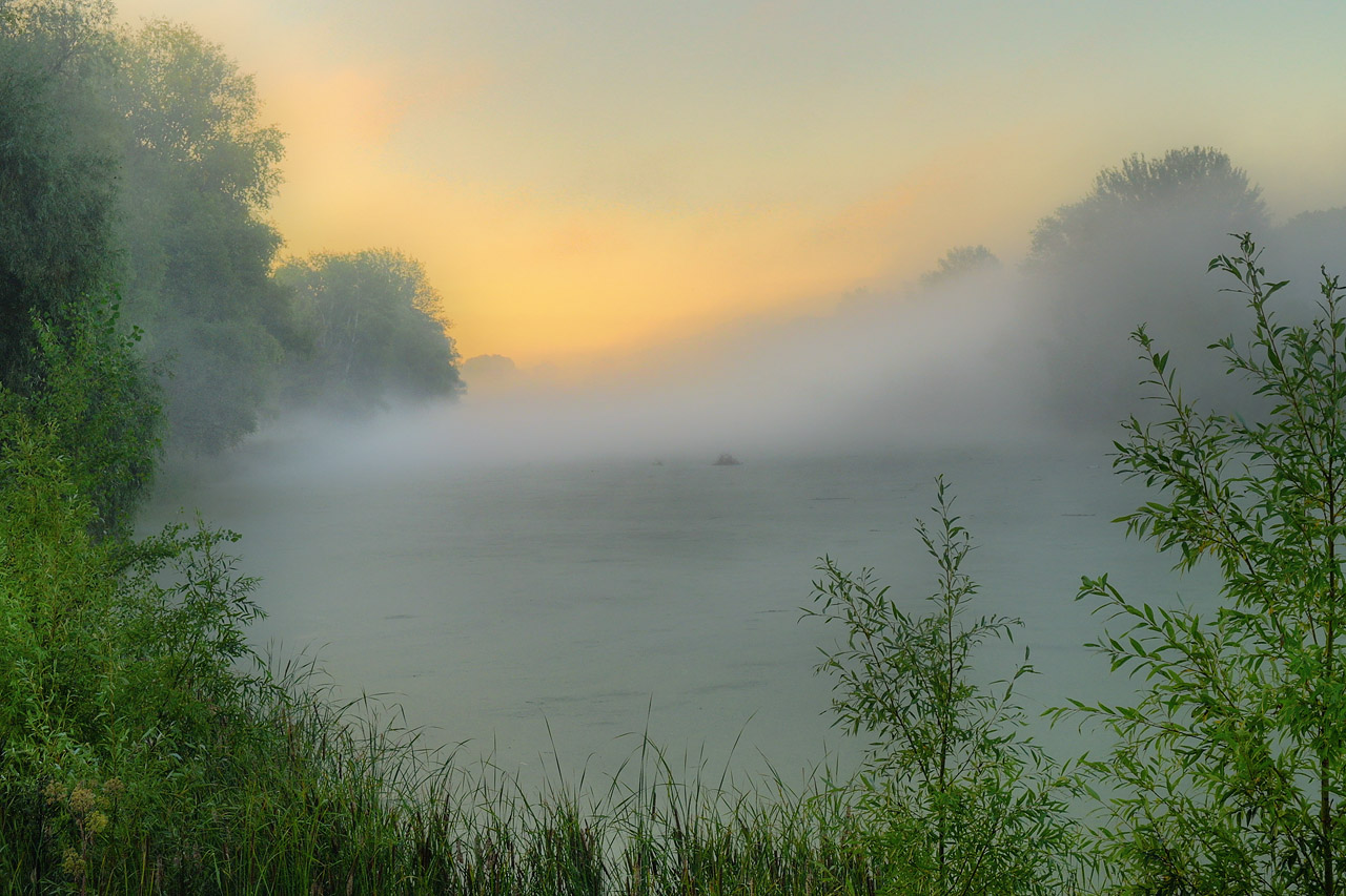 Картинки туманов. Туман стелется. Густой туман. Утренний туман на реке. Стелющийся туман.
