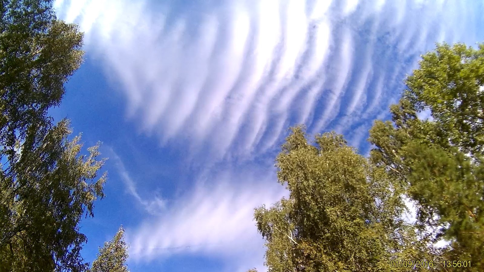 Ms1 cloud. Перисто Кучевые. Перисто-Слоистые облака. Перистые хребтовидные облака. Нитевидные перистые облака.