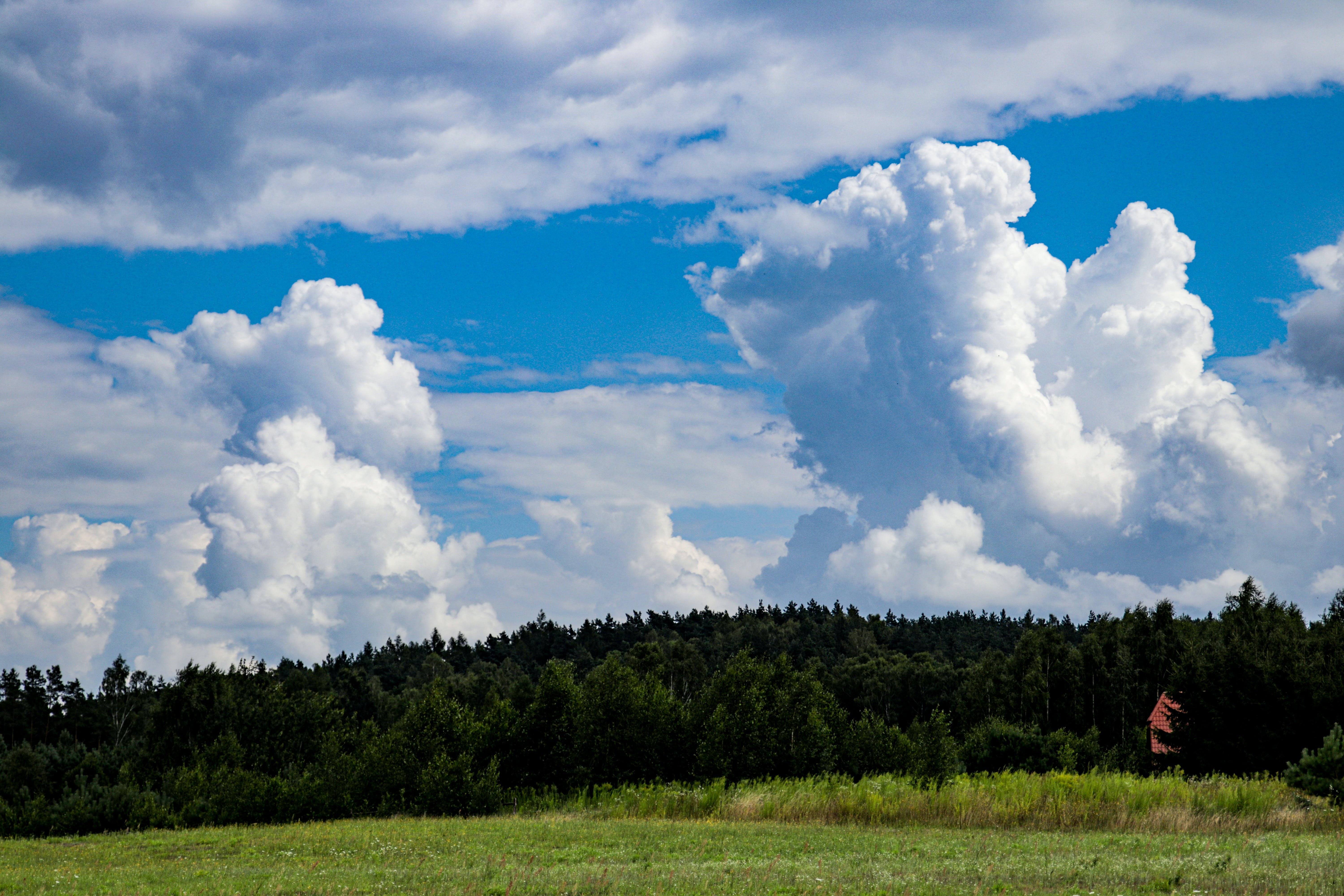 Курились облака. Кучевые облака. Высокие Кучевые облака Крыму. Кучево-дождевые облака. Кучевые облака облака.