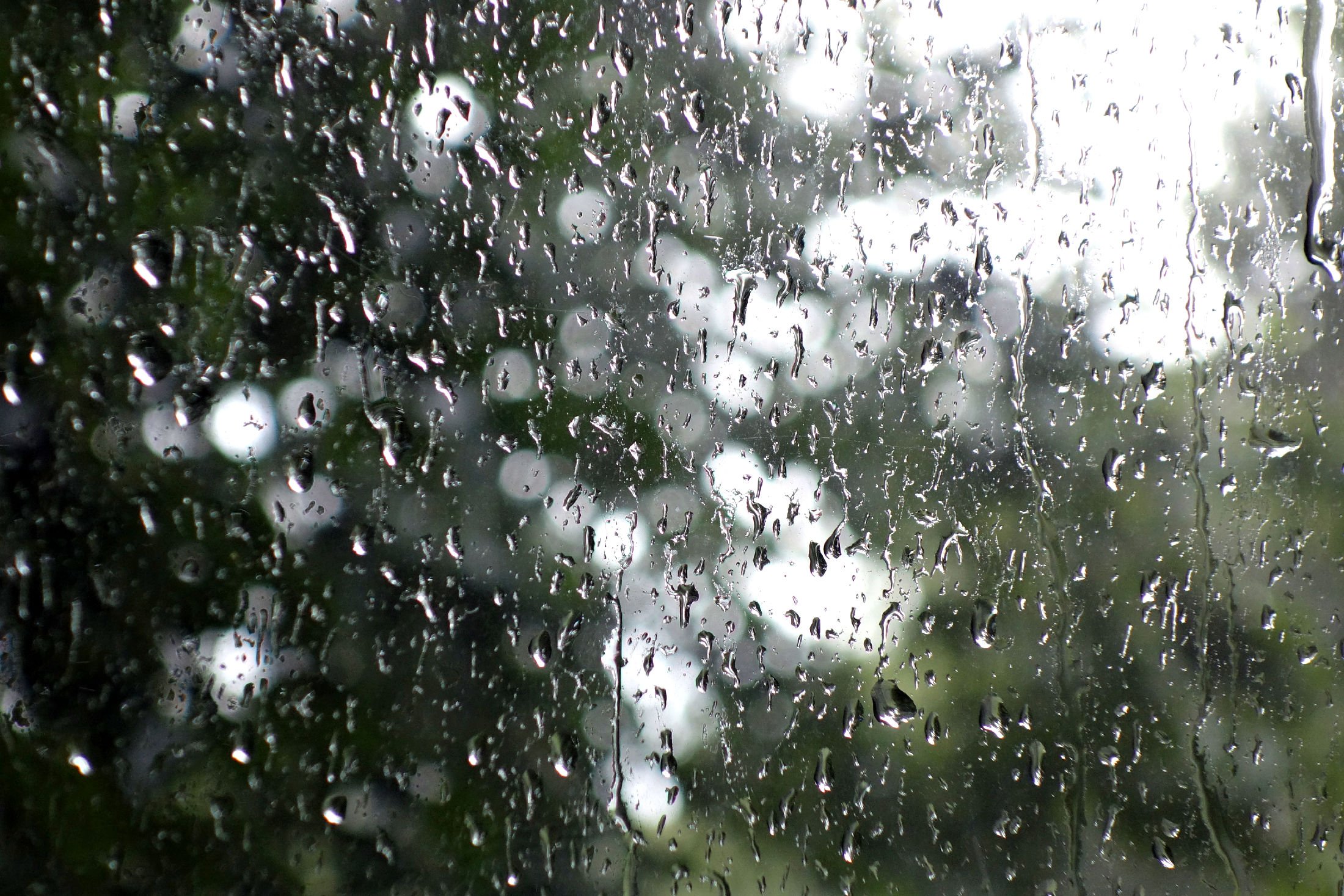 Тема дождливая погода. Дождь картинки. Дождь фон. Серый дождь. Дождь в окне.
