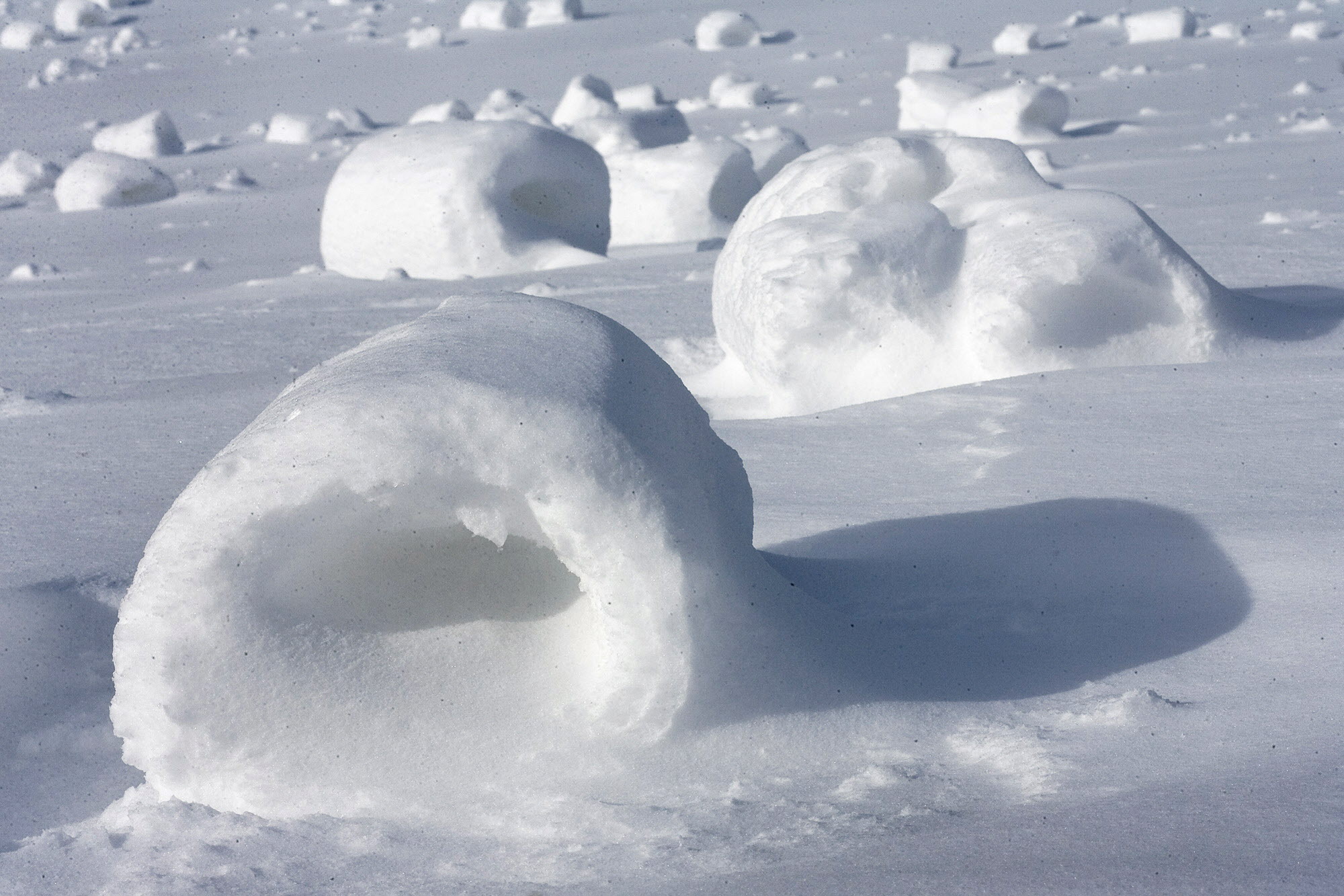 Снежок называется. Снежок из снега. Снежные пончики природное явление. Рулоны из снега. Природные явления снег.