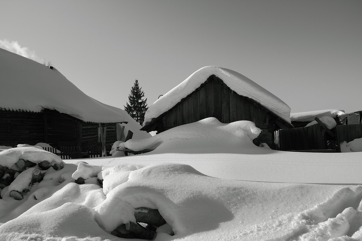 Заваленные снегом дома