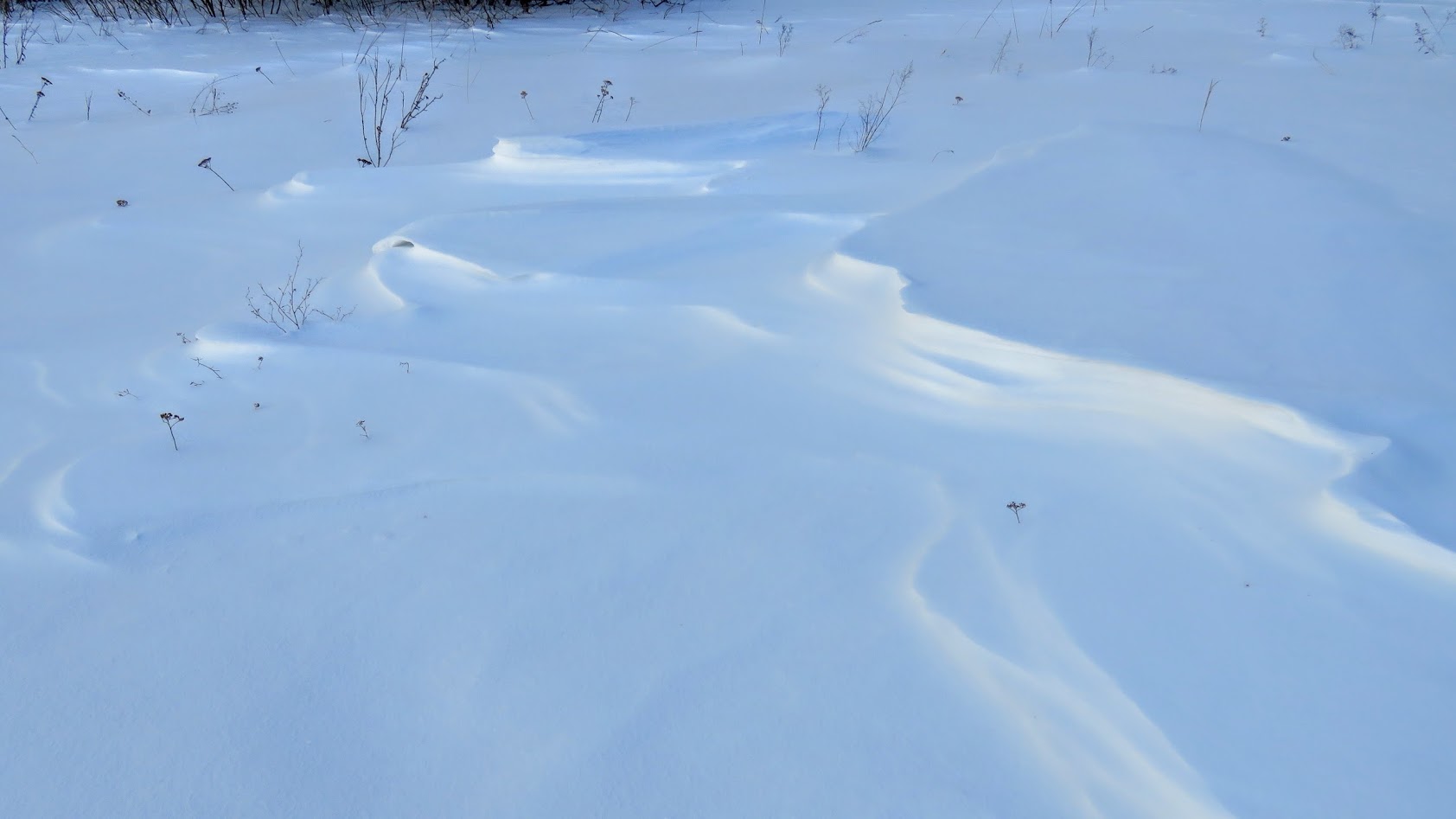 По сугробу волчиха взобралась. Следы саней на снегу. Сугробы по пояс. Земля обилие снега.