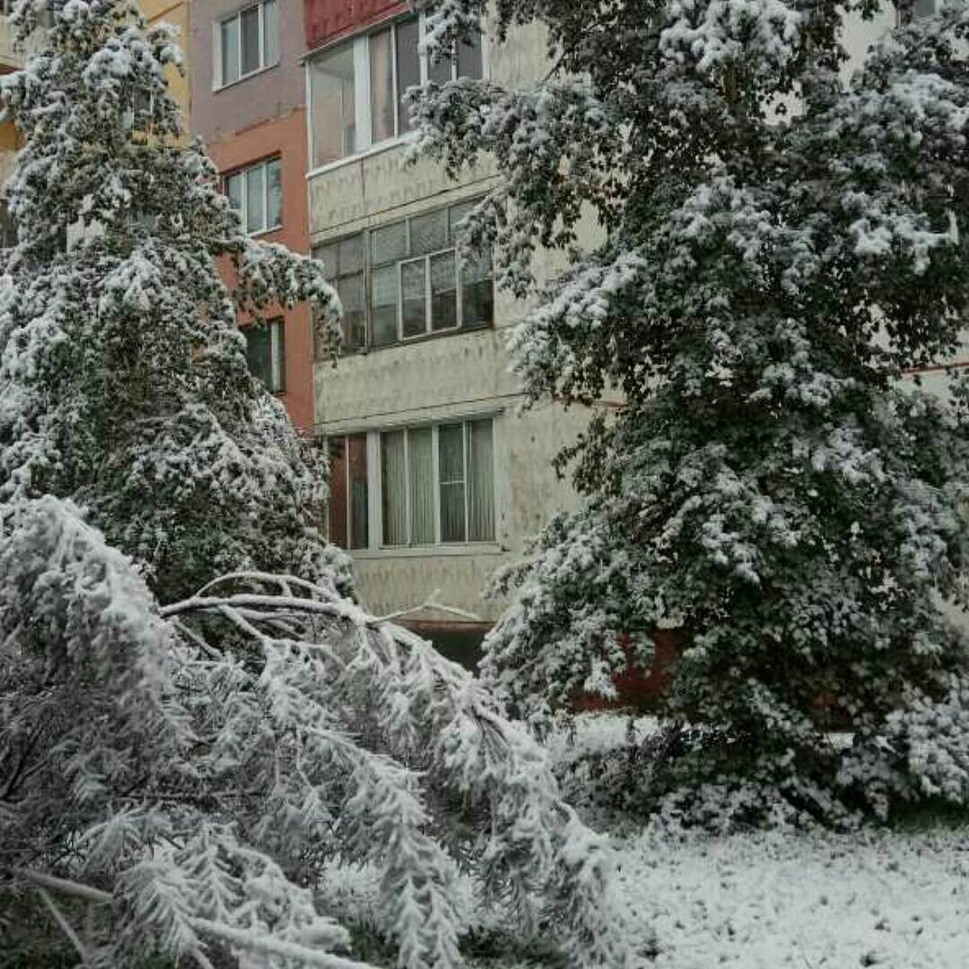 Россия выпал снег. Нерюнгри снег летом. Снег летом. Летний снег. Снег летом в России.