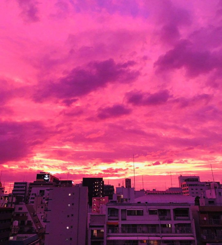 Розовый закат в городе