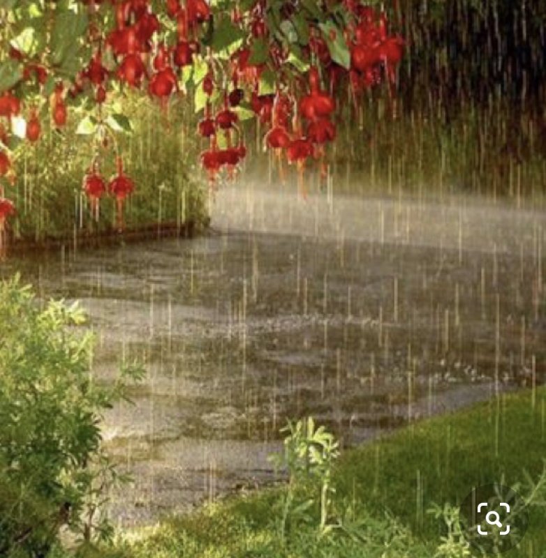 Природа дождь