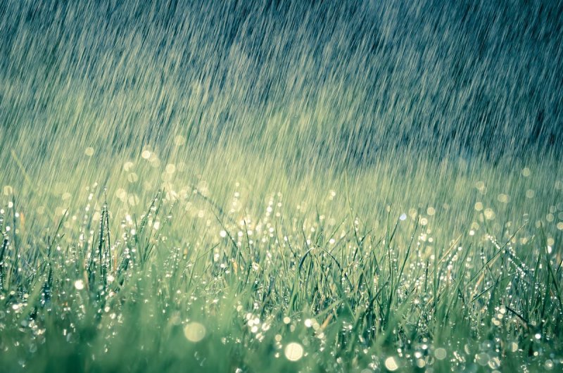 Красота природы дождь
