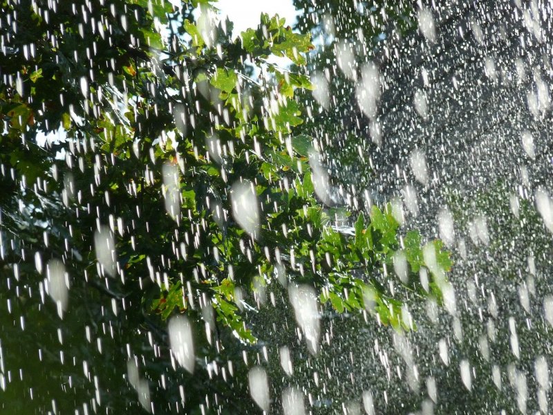 Явления природы дождь