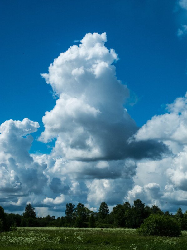 Интересные облака
