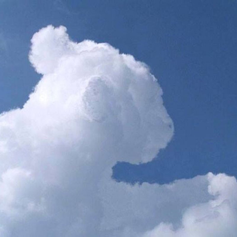 Облака похожие на животных