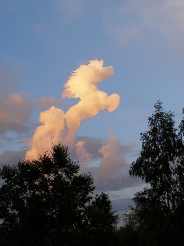 Облака в форме животных