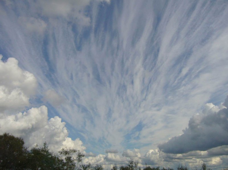 Облако облако Кулига парк