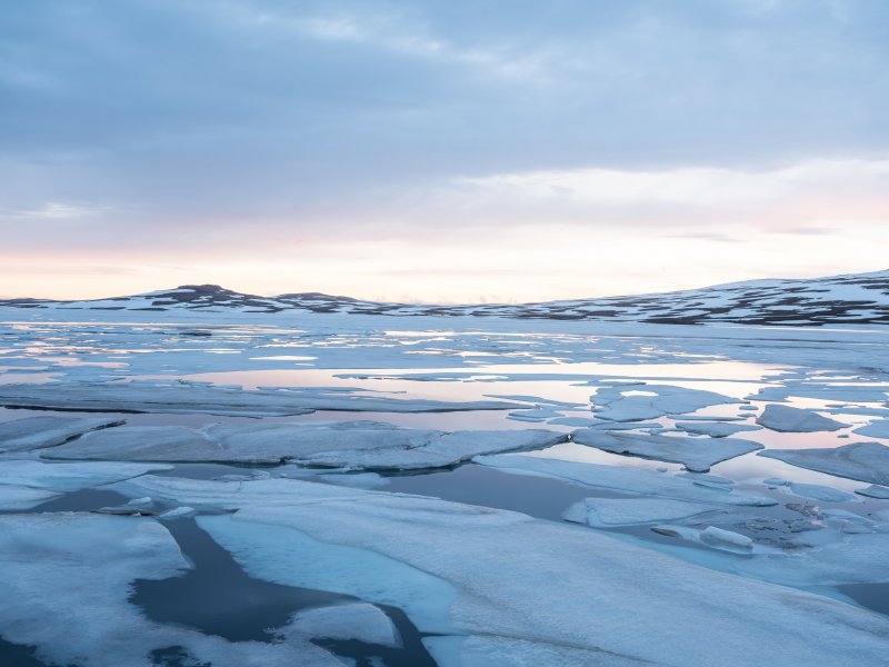 Арктика тундра Ледяная пустыня Гренландия