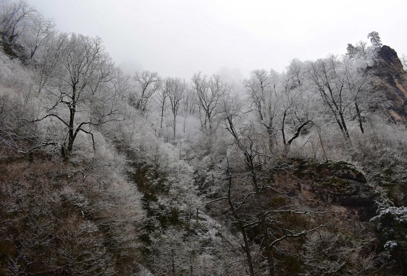 Природа Краснодарского края февраль