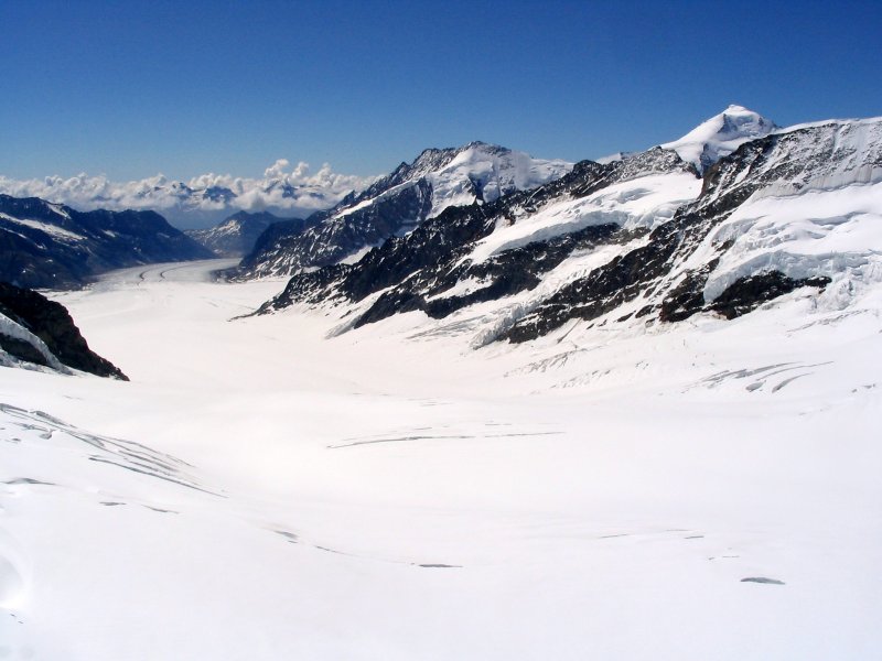 Ледника Glacier Grey.