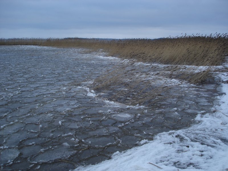 Блинчатый лед Балтийское море